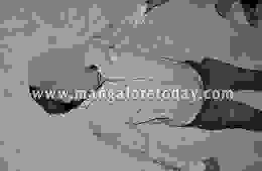  at Someshwar Beach; suicide suspected